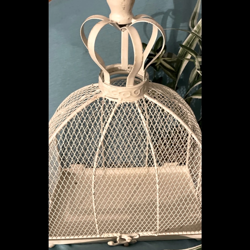 Vintage birdcage